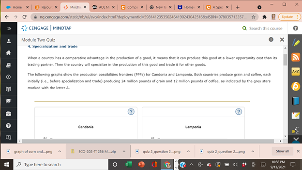  4. Specialization and tradeWhen a country has a comparative advantage in