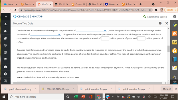 nor coffee,both grain and coffee, while Lamponia has a comparative advantage in