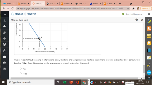 total of____millionpounds of grain and___ millionpounds of coffee.Suppose that Candonia and Lamponia