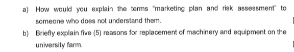 a) How would you explain the terms "marketing plan and risk
