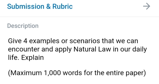 Help please Submission & Rubric Description Give 4 examples or scenarios
