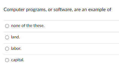 Computer programs, or software, are an example of none of the these.