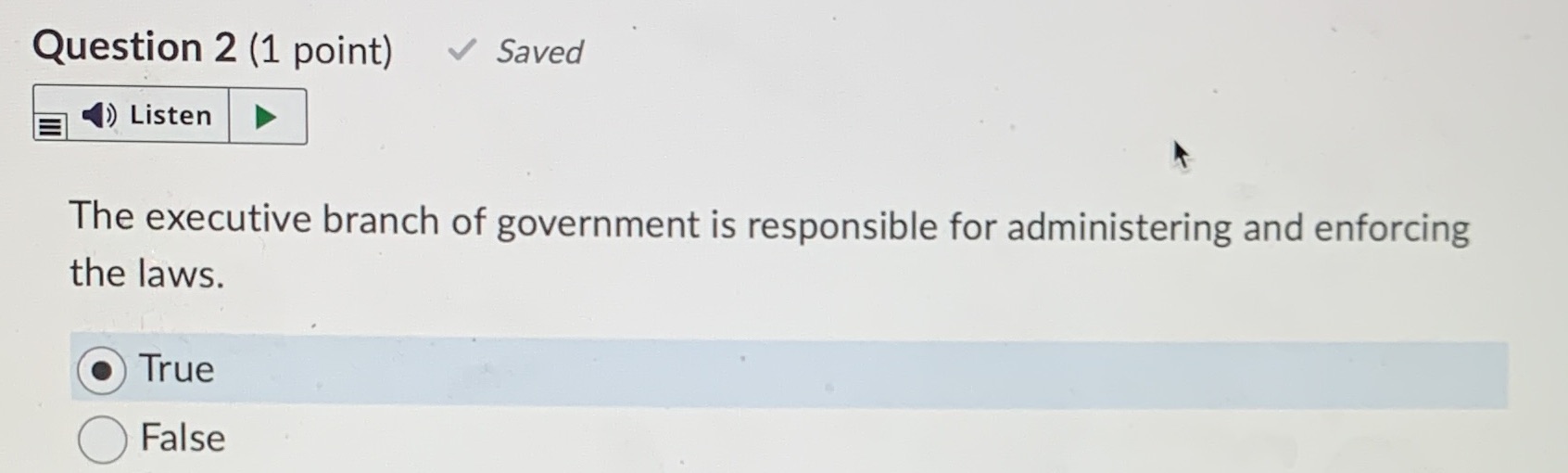 executive branch of government is responsible for administering and enforcing the laws.