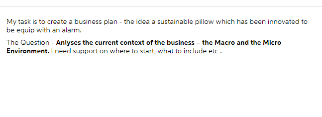  My task is to create a business plan - the idea