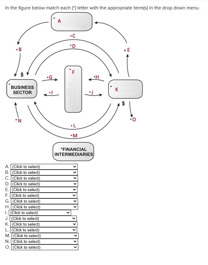 In the figure below match each (*) letter with the appropriate term(s)