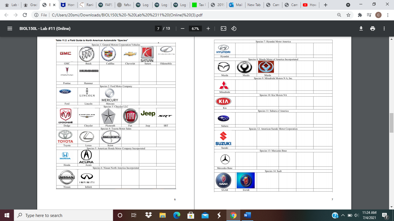 with the rank on the x-axis and the relative abundance on the