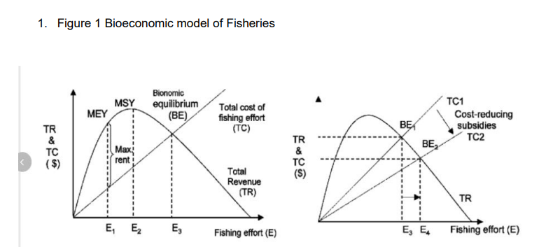 eWt E, subs"B TC2 Fhing effort (E)