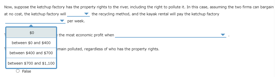 profit (the ketchup factory's economic profit and the kayak rental's economic profit