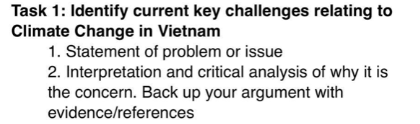 Vietnam 1. Statement of problem or issue 2. Interpretation and critical analysis