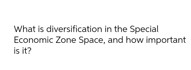 What is diversification in the Special Economic Zone Space, and how important