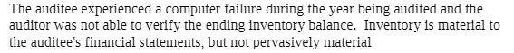 The audited EXPERIENCEd a computer failure during the year being audited
