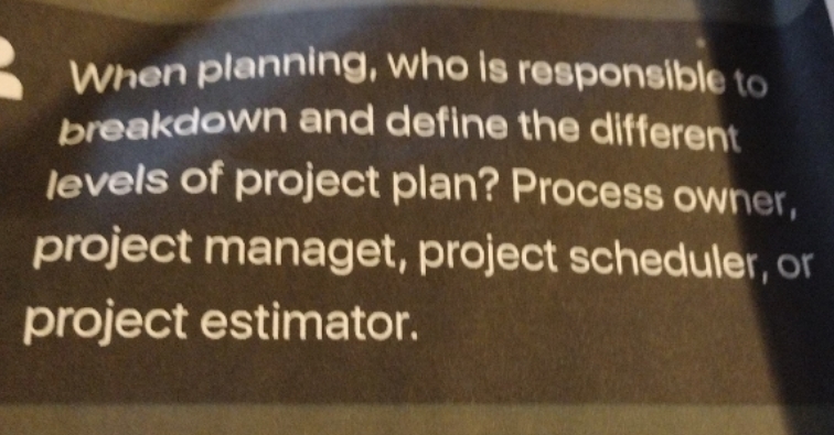 levels of project plan? Process owner, project managet, project scheduler, or project