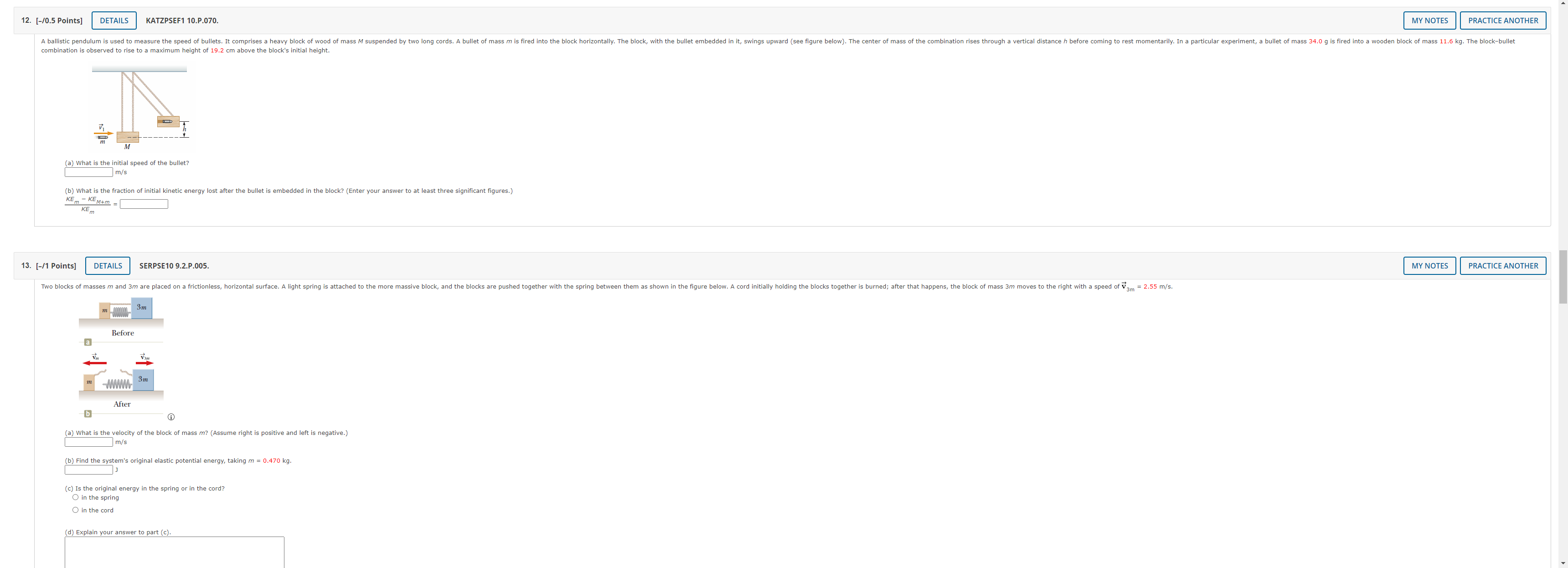 falls from height of 18.5 m, hits the floor, and rebounds vertically