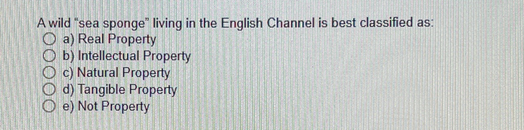 sponge" living in the English Channel is best classified as; a) Real