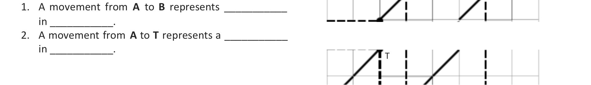 A to T represents a in -r