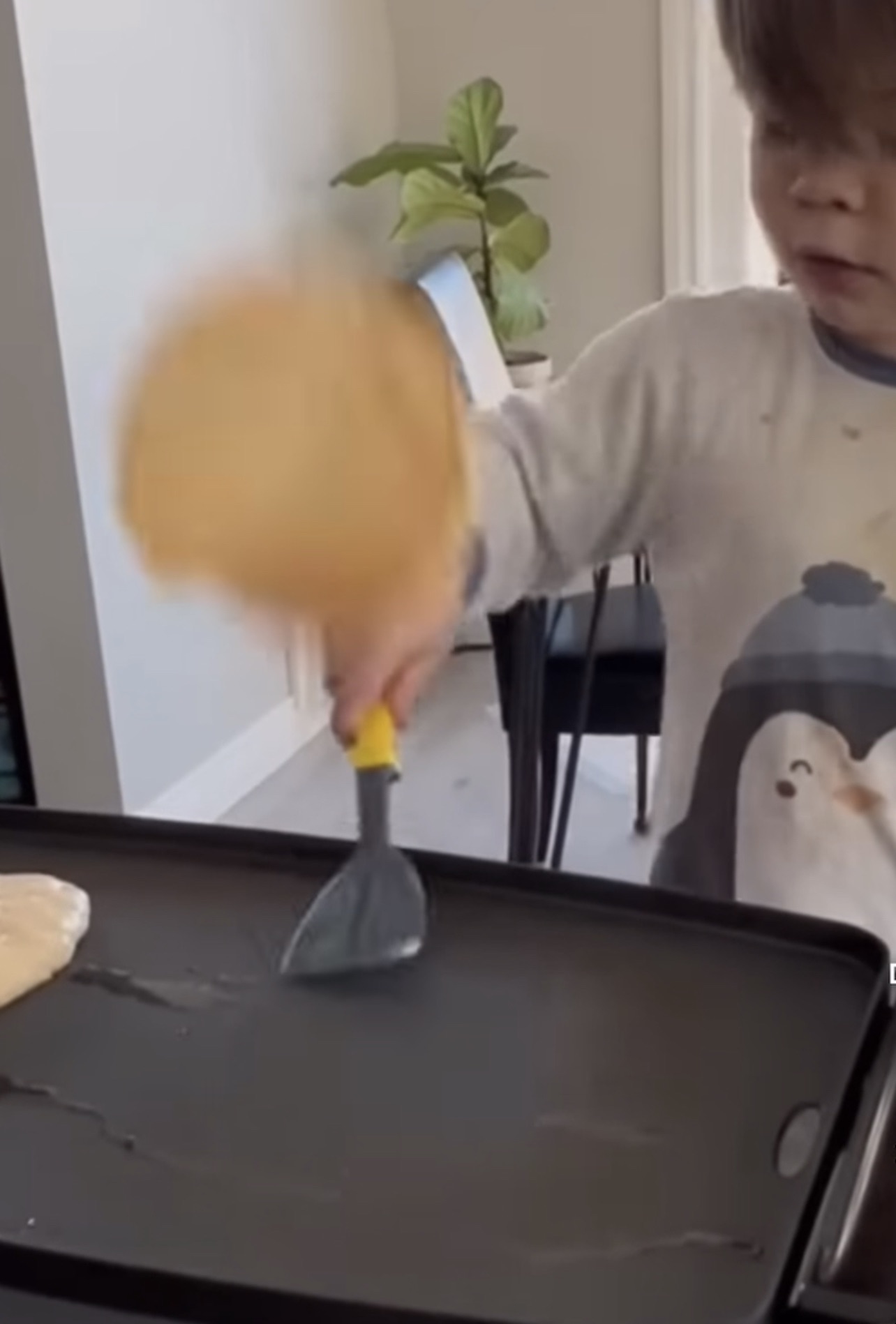 how would energy/work assist in the trajectory of a successful pancake flip