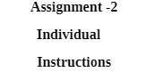 Assignment -2 Individual Instructions