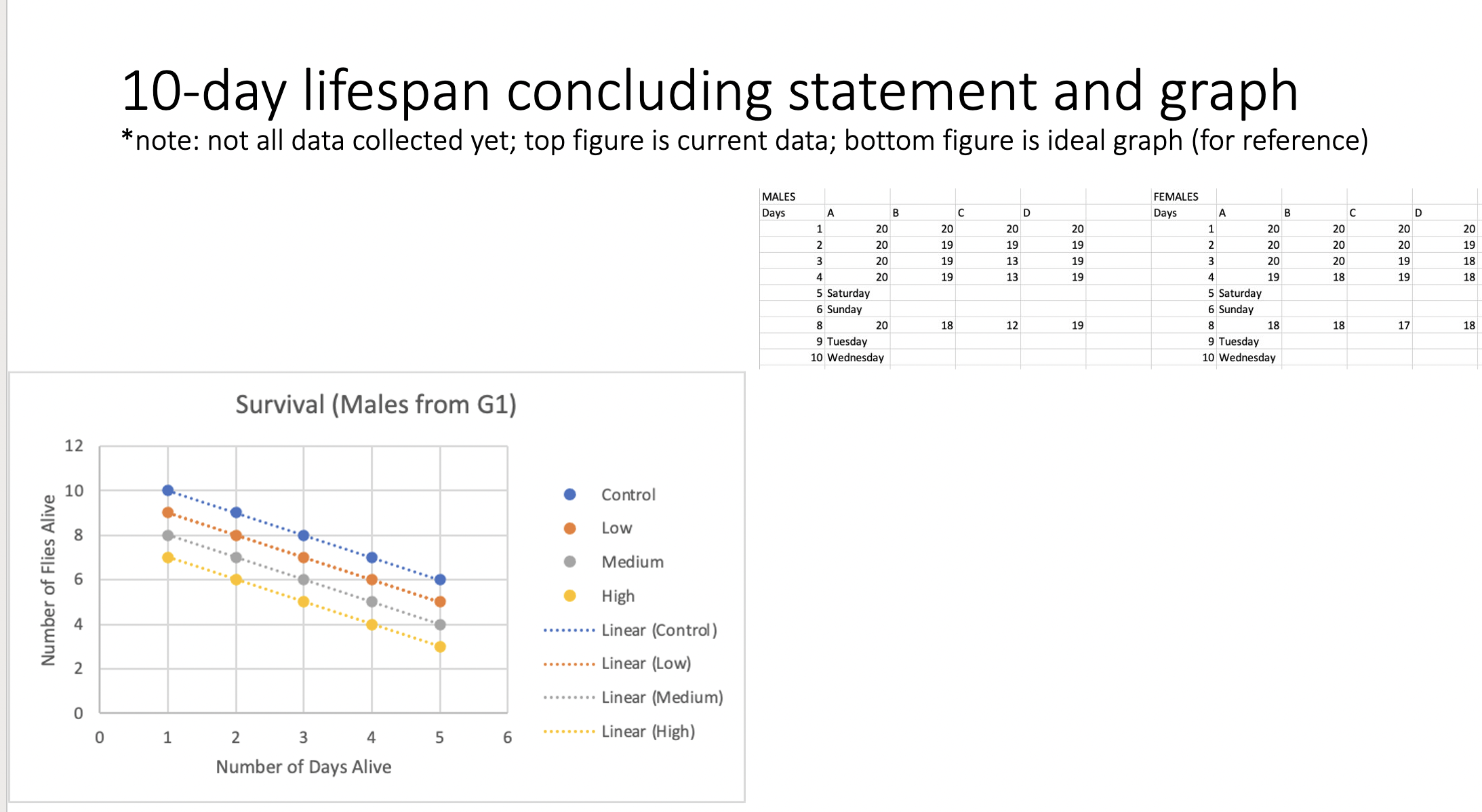 Potassium inDrosophila melanogaster. Below are my graphs but I do not know