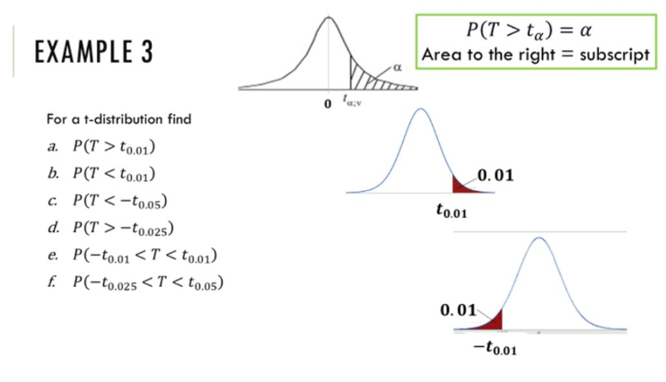 a t-distribution find a. P(T > to.01) b. P(T -to.025) e. P(-to.01