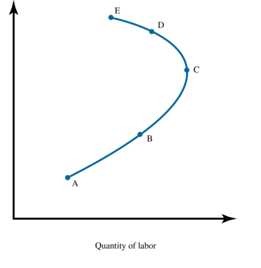 elastic demande.The firm can switch between using labor and capital relativelyeasily.-more elastic