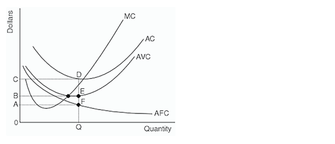 is equal to the distance QD. O is equal to the distance