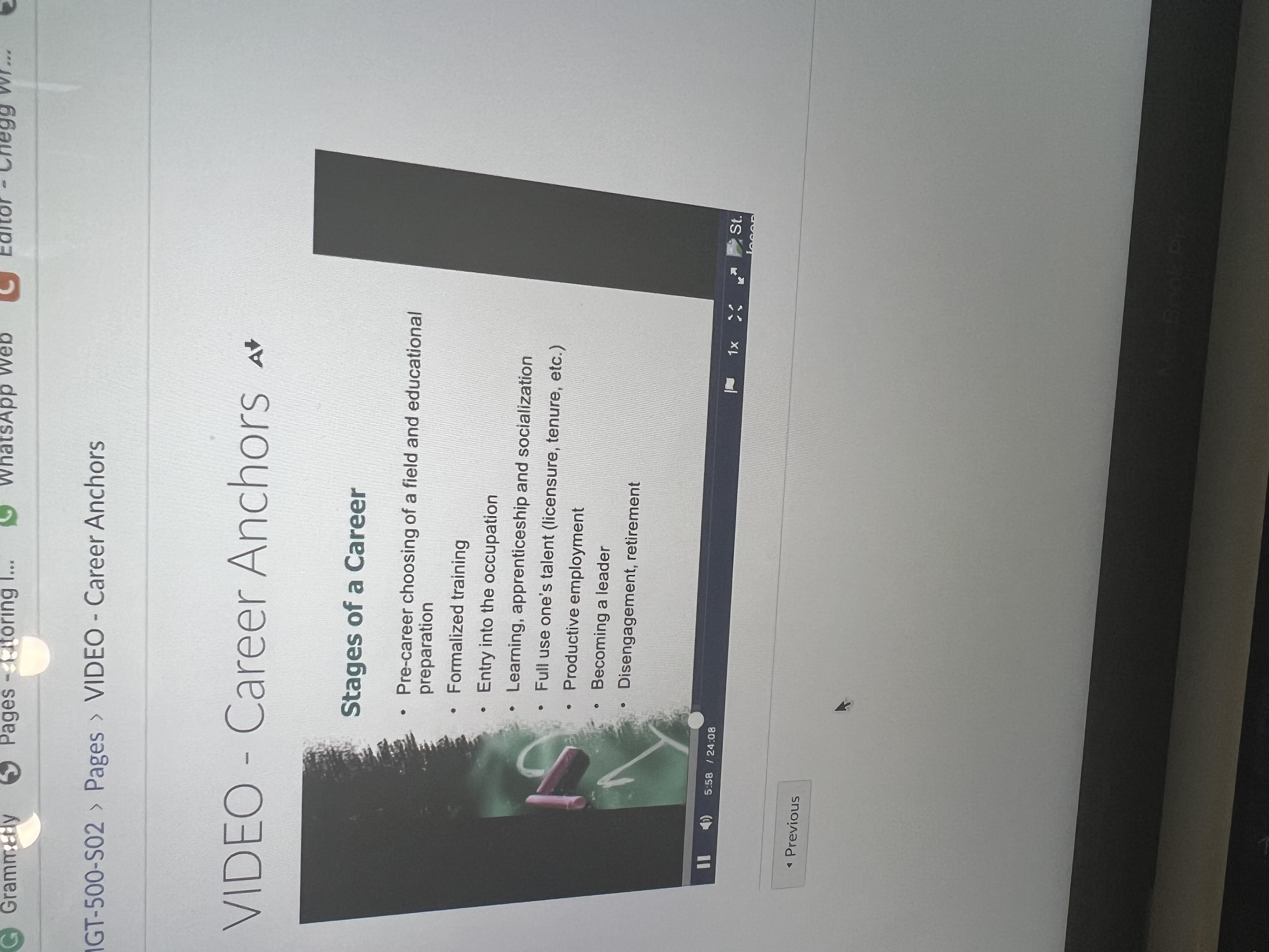 Anchors At Overview . Each person's career is "anchored" by his/her self-image