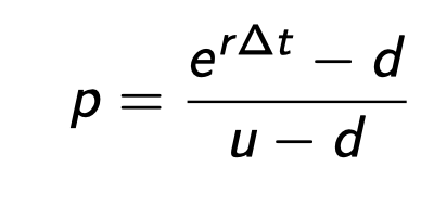 %. The risk-free rate is r = 0.08 and MAGA stock has