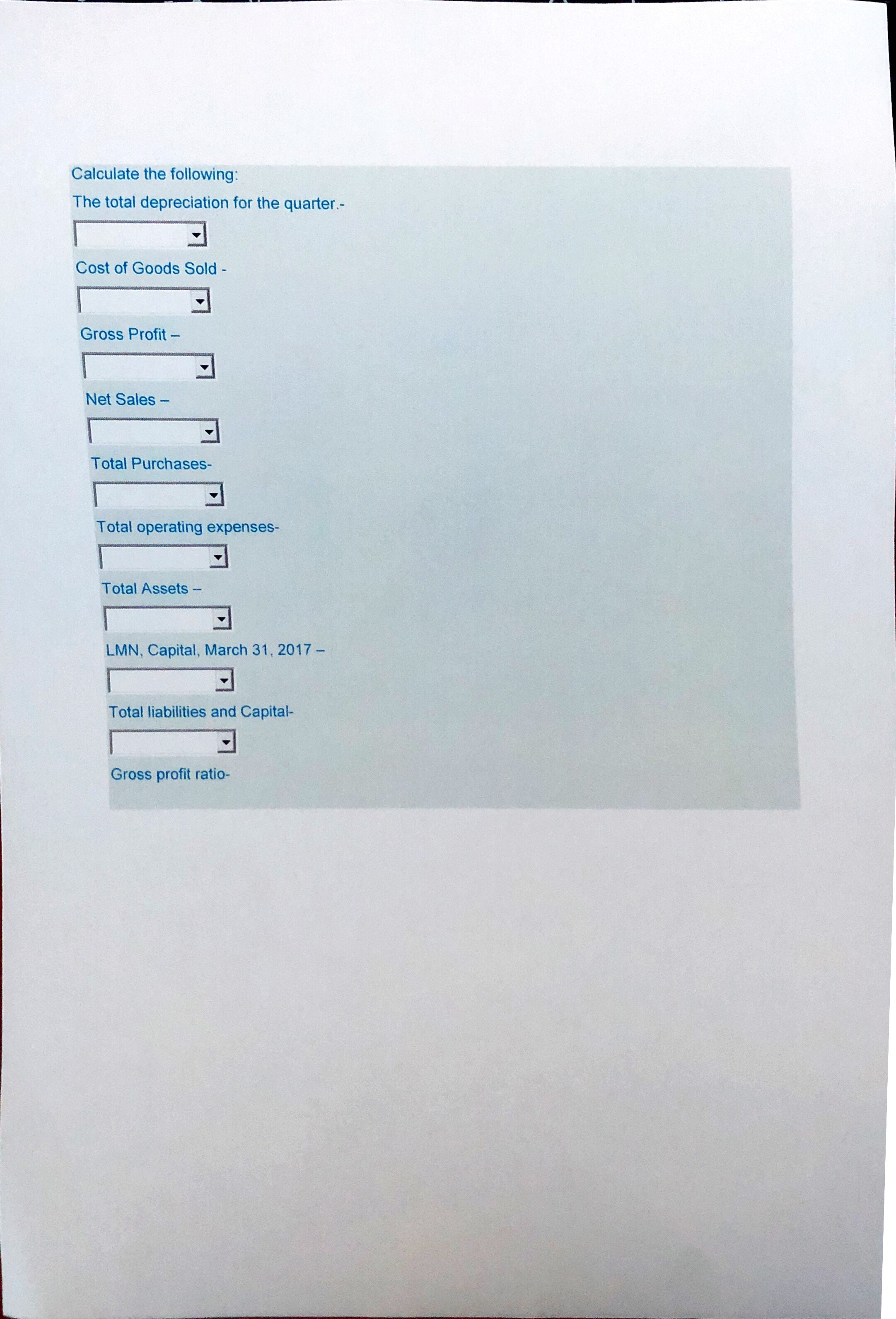 of LMN Store on March 31, 2017, after a quarter of operations