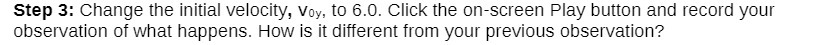  Step 3: Change the initial veiocity. Vy, to 51]. Click the