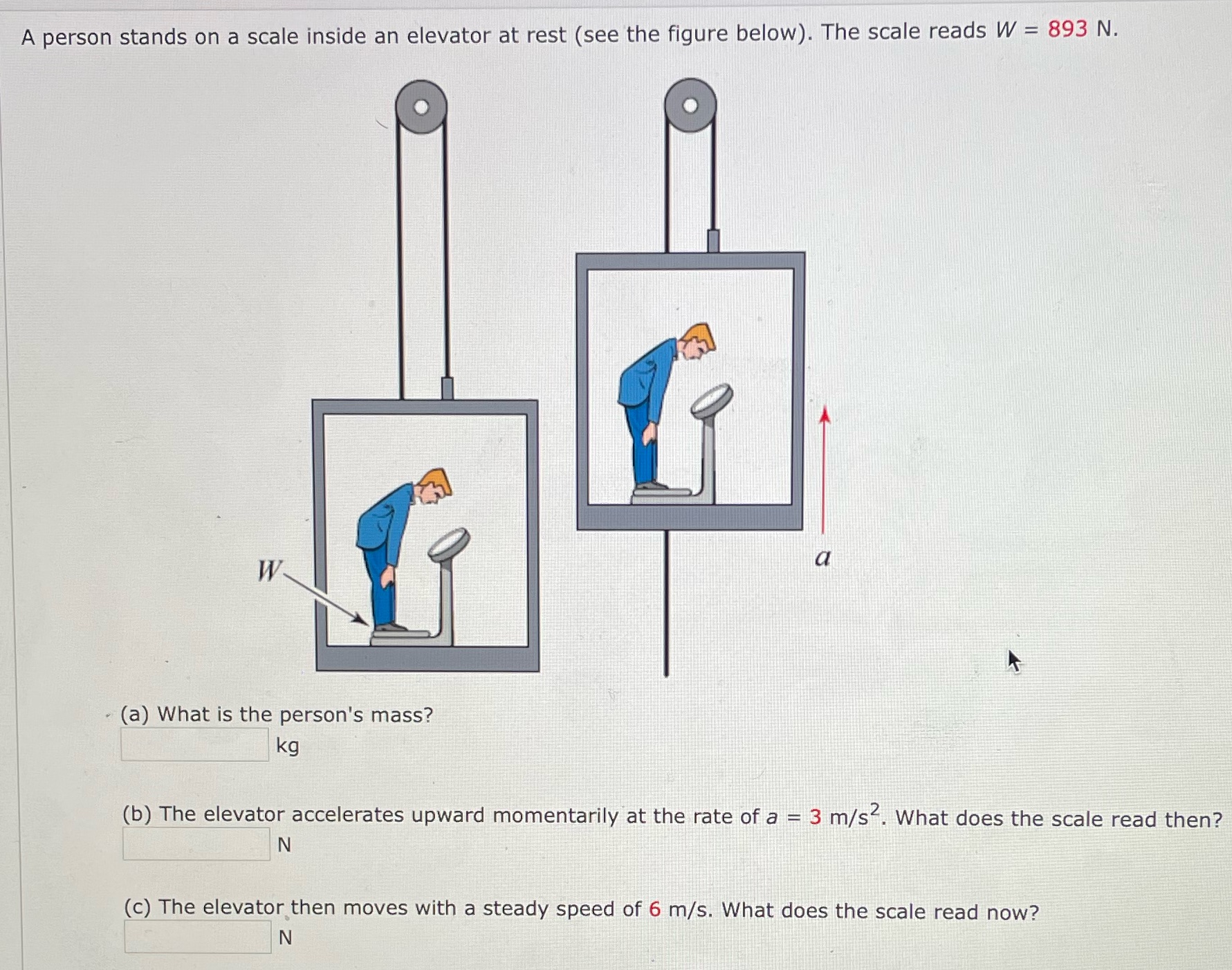  A person stands on a scale inside an elevator at rest