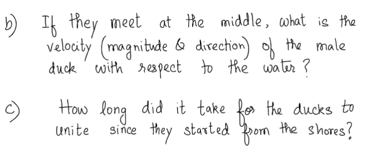is 10m upstream from the rendezvous point , while the male duck