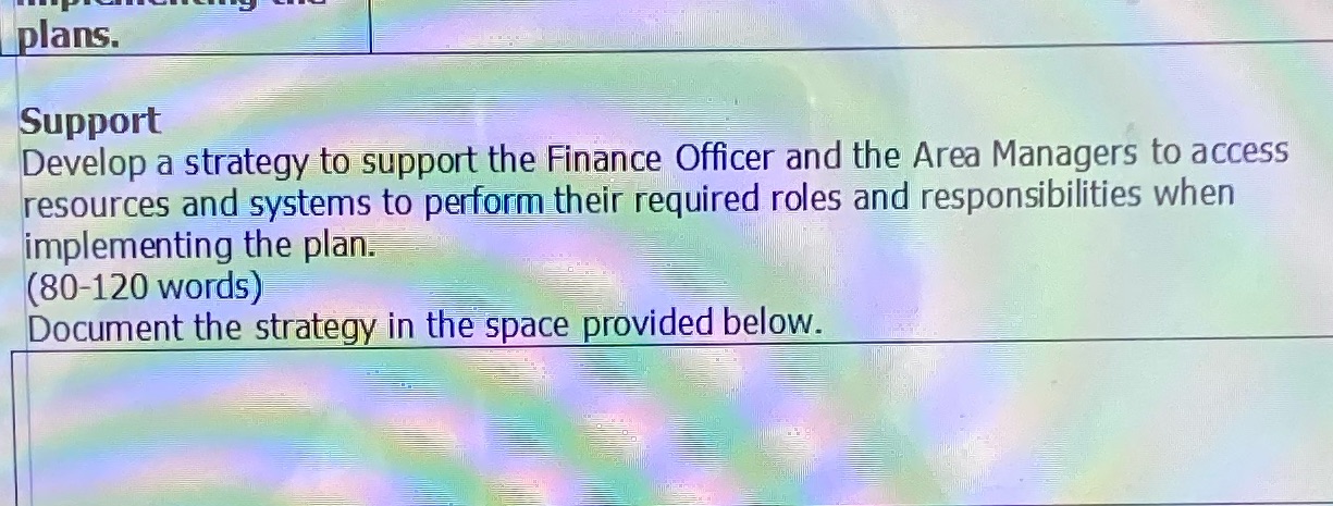 Help plans. Support Develop a strategy to support the Finance Officer and