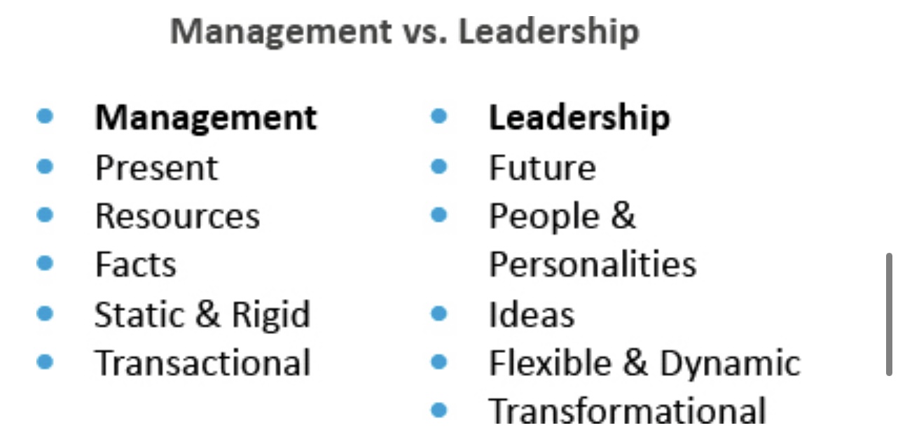 and Discipline is also below.Case Study Report Format:Title Page - Contains course