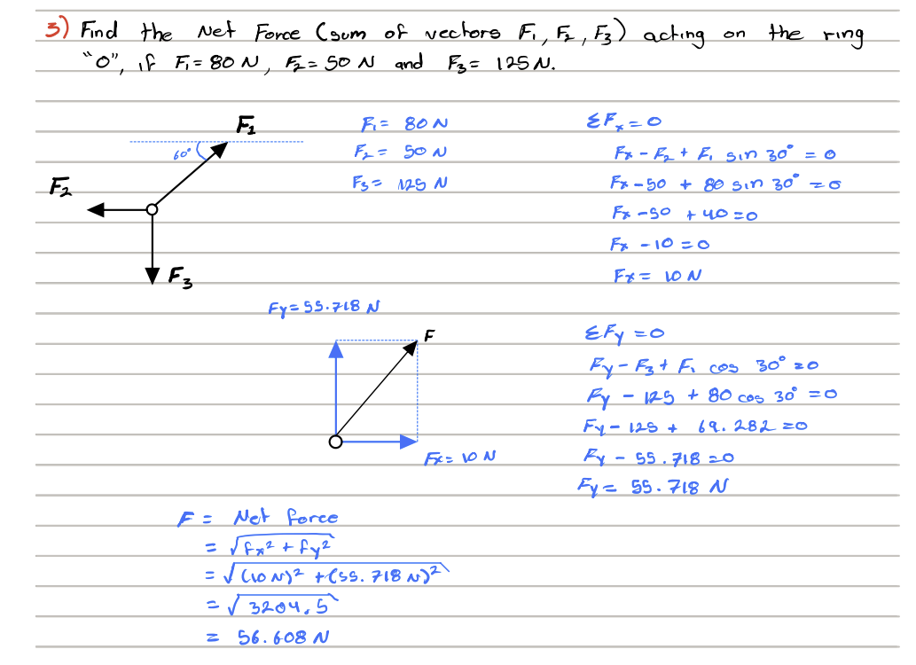 a correct answer with an explanation, thank you. Fix 2 40 N