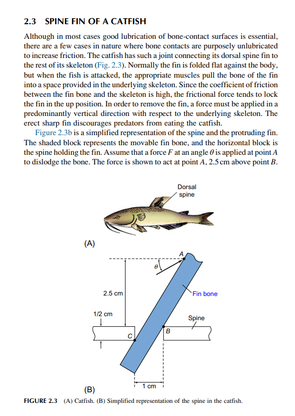 lubrication of bonecontact surfaces is essential1 there are a few cases in