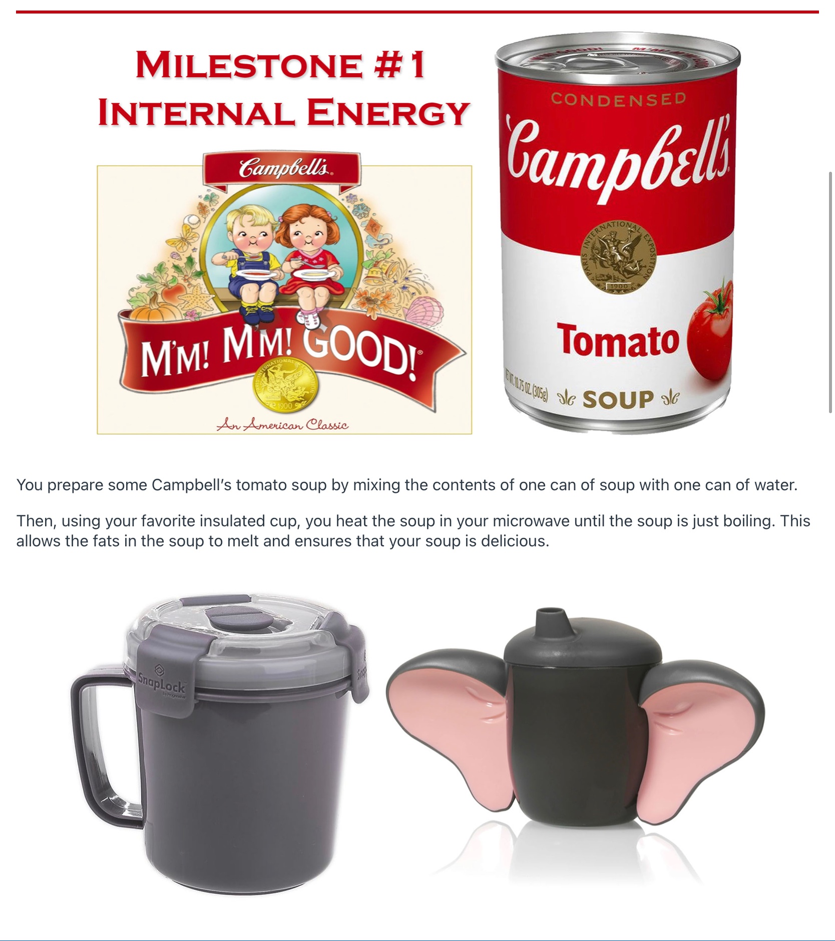 the tutor did not even take the time to actually do it