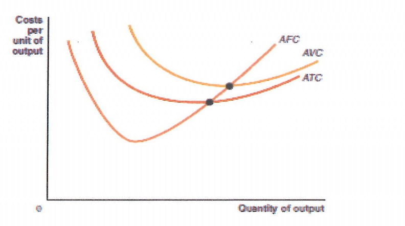 List the errors in the graph. Explain why the curves drawn this