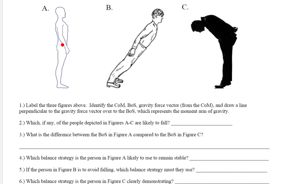  1.) Label the three gures above. Identify the COM. BoS. gravity