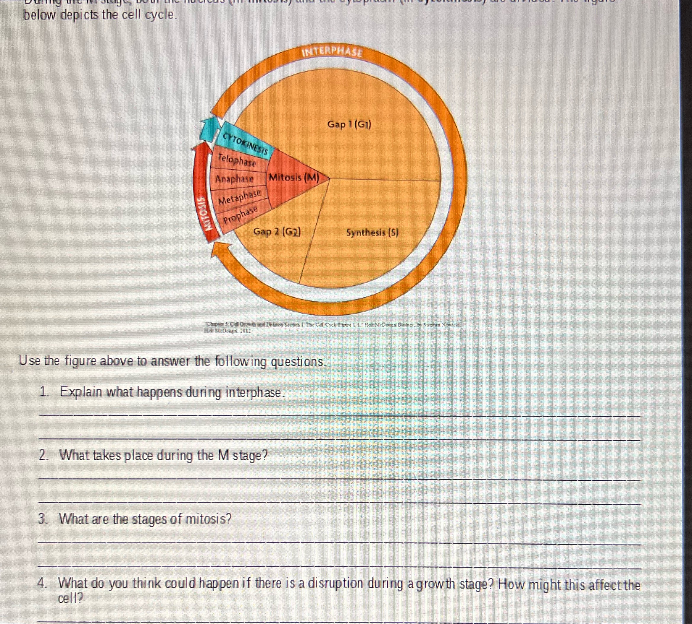Need Help below depicts the cell cycle. INTERPHASE Gap 1 (G1) CYTOKINESIS