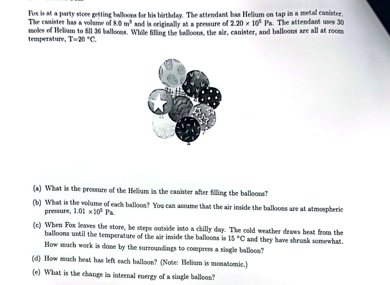  Fox is at a party store getting balloons for his birthday.