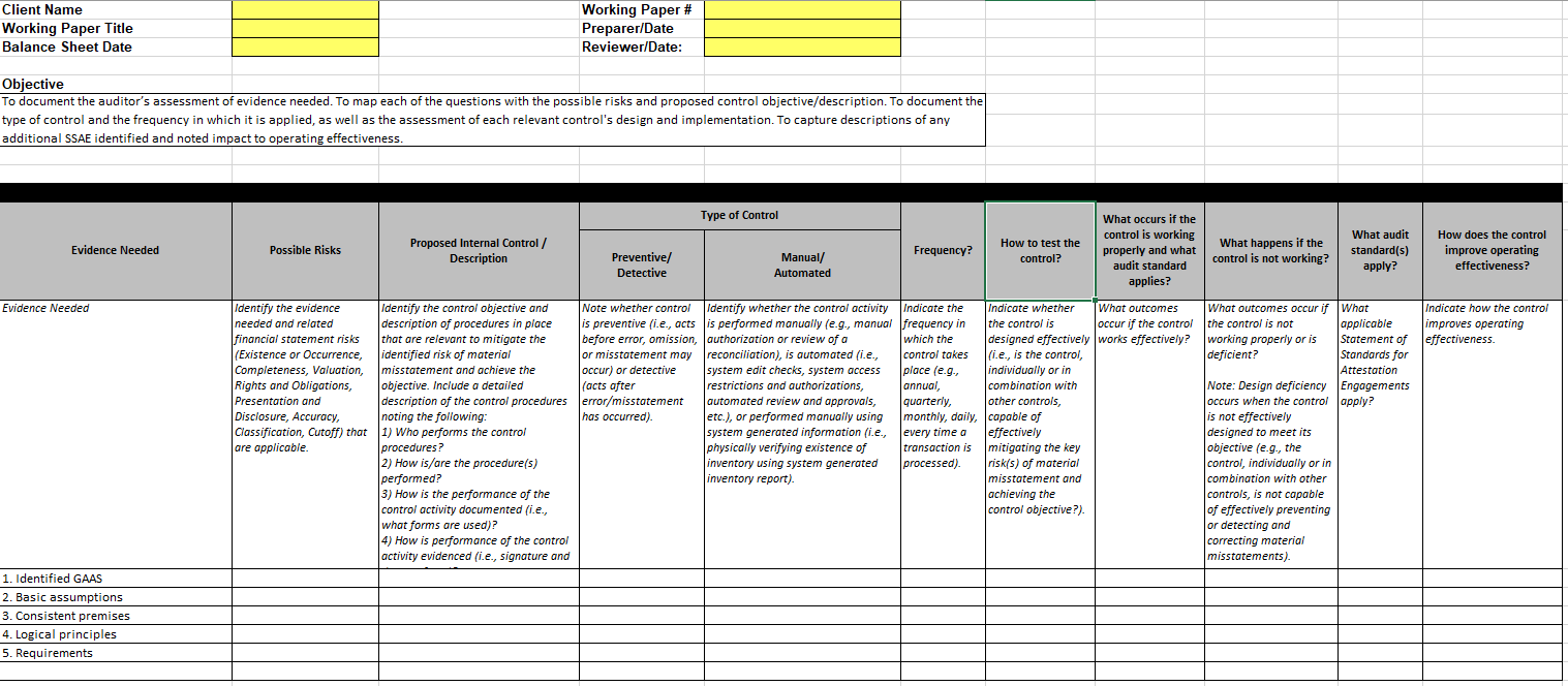 the external auditExplanation of possible errors from financial dataDescribe how these audit