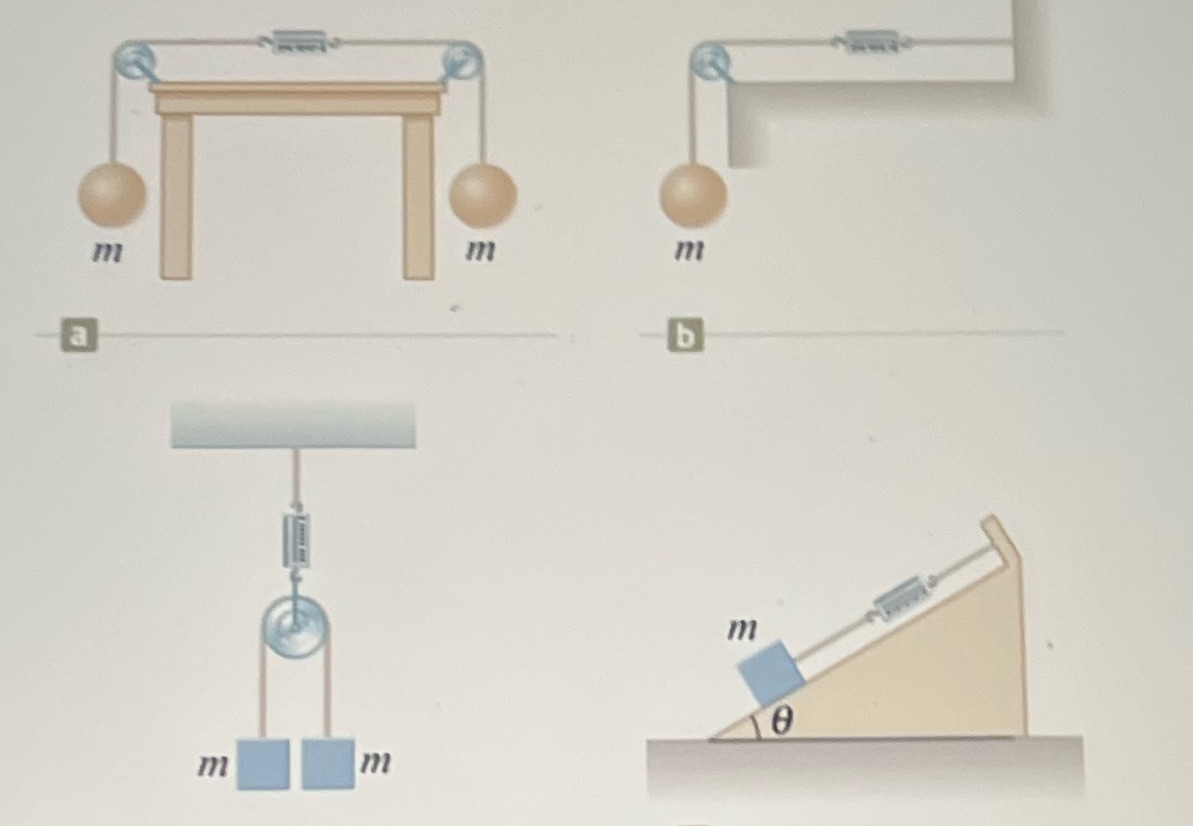 5. The systems shown below are in equilibrium with m = 4.80