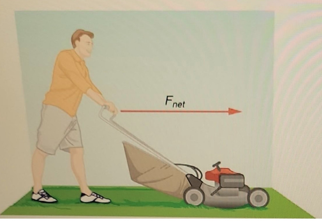 In the figure below, the net external force on the 82,8-kg lawn