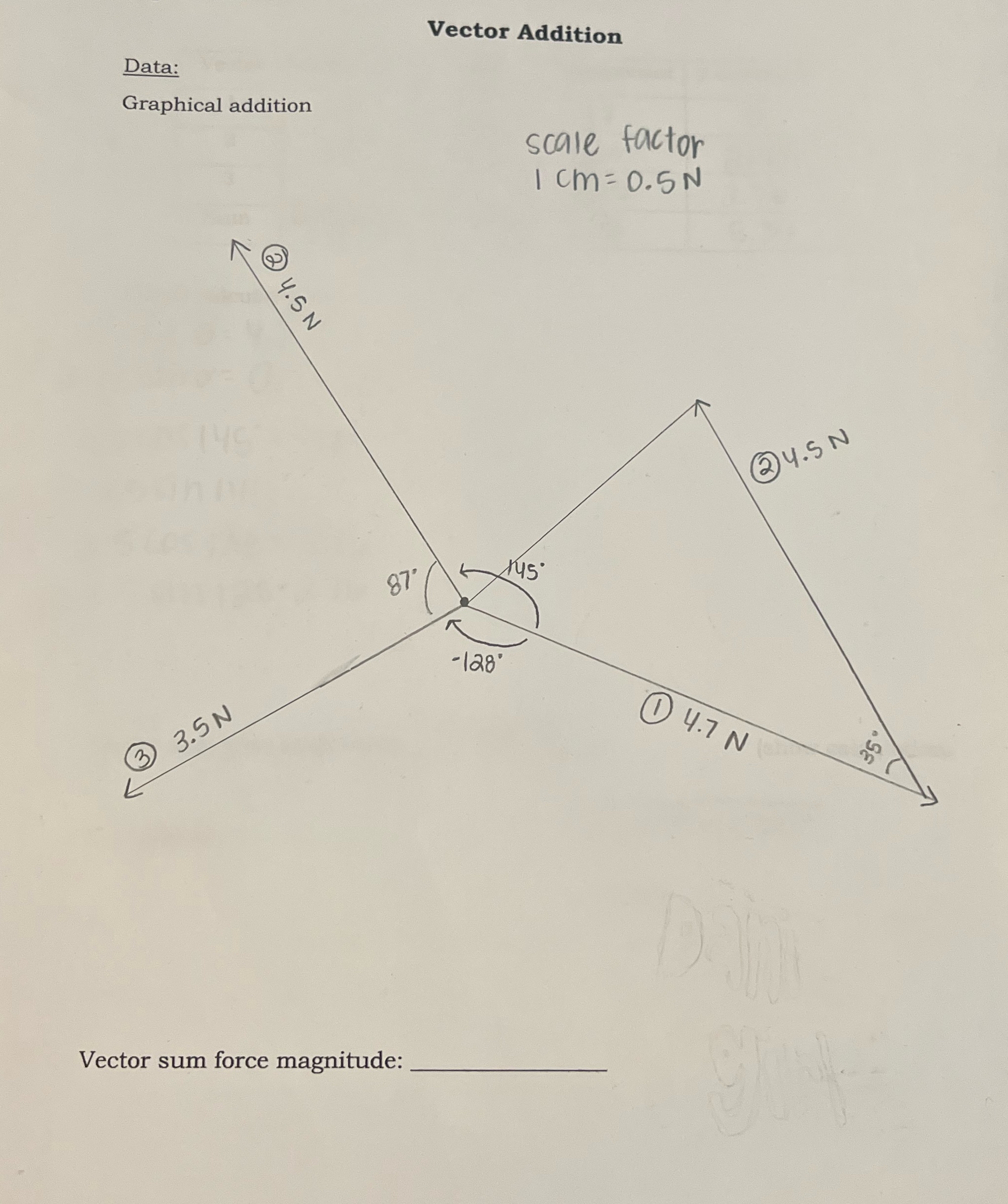 What is the vector sum force magnitude? Vector Addition Data: Graphical addition