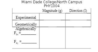 Miami Dade College/North Campus 0 04 MagnimHp (g) Direction (O) Experimental Geometric