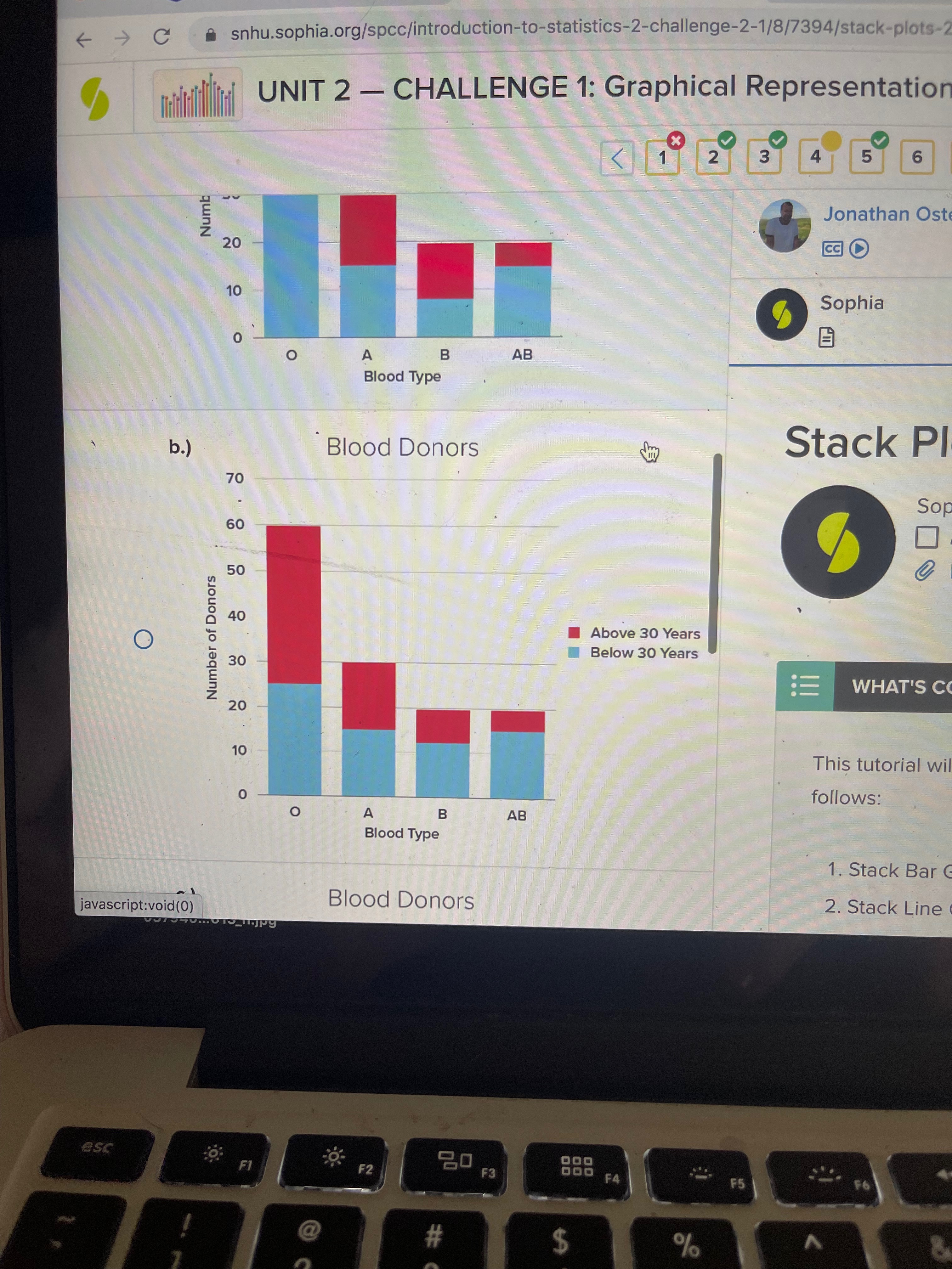 CHALLENGE 1: Graphical Representation 1 2 3 4 5 6 ANVIL UV