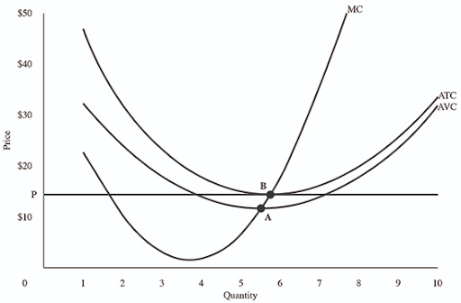 100 Option C 120 150 Option D 200 210 Option E 125