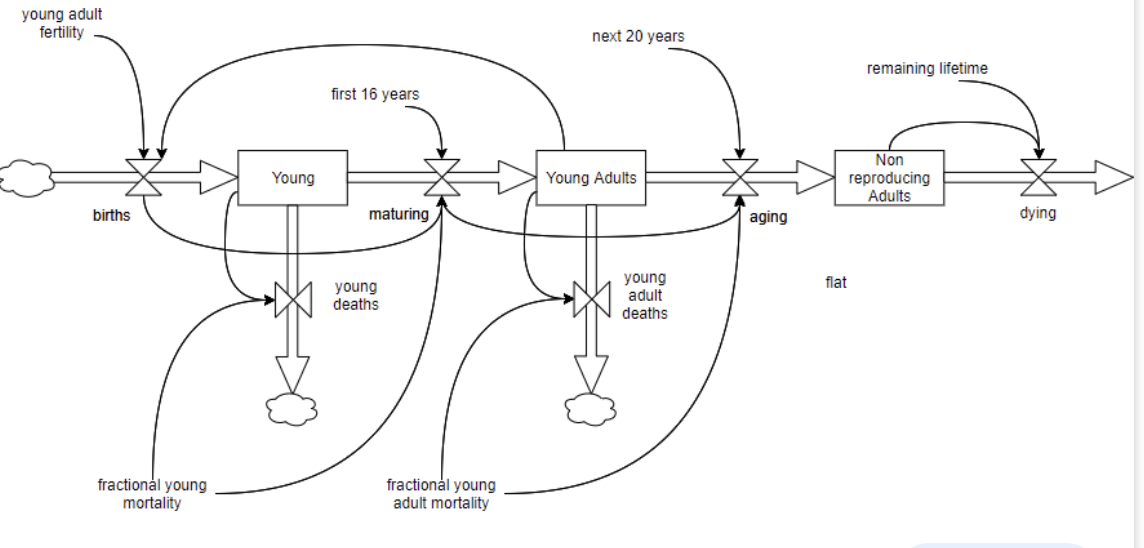 Draw a stock and flow map for each and give their