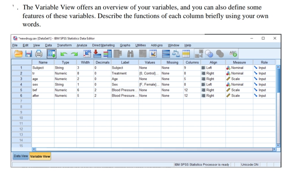 SPSS introduction 1 . The Variable View offers an overview of your