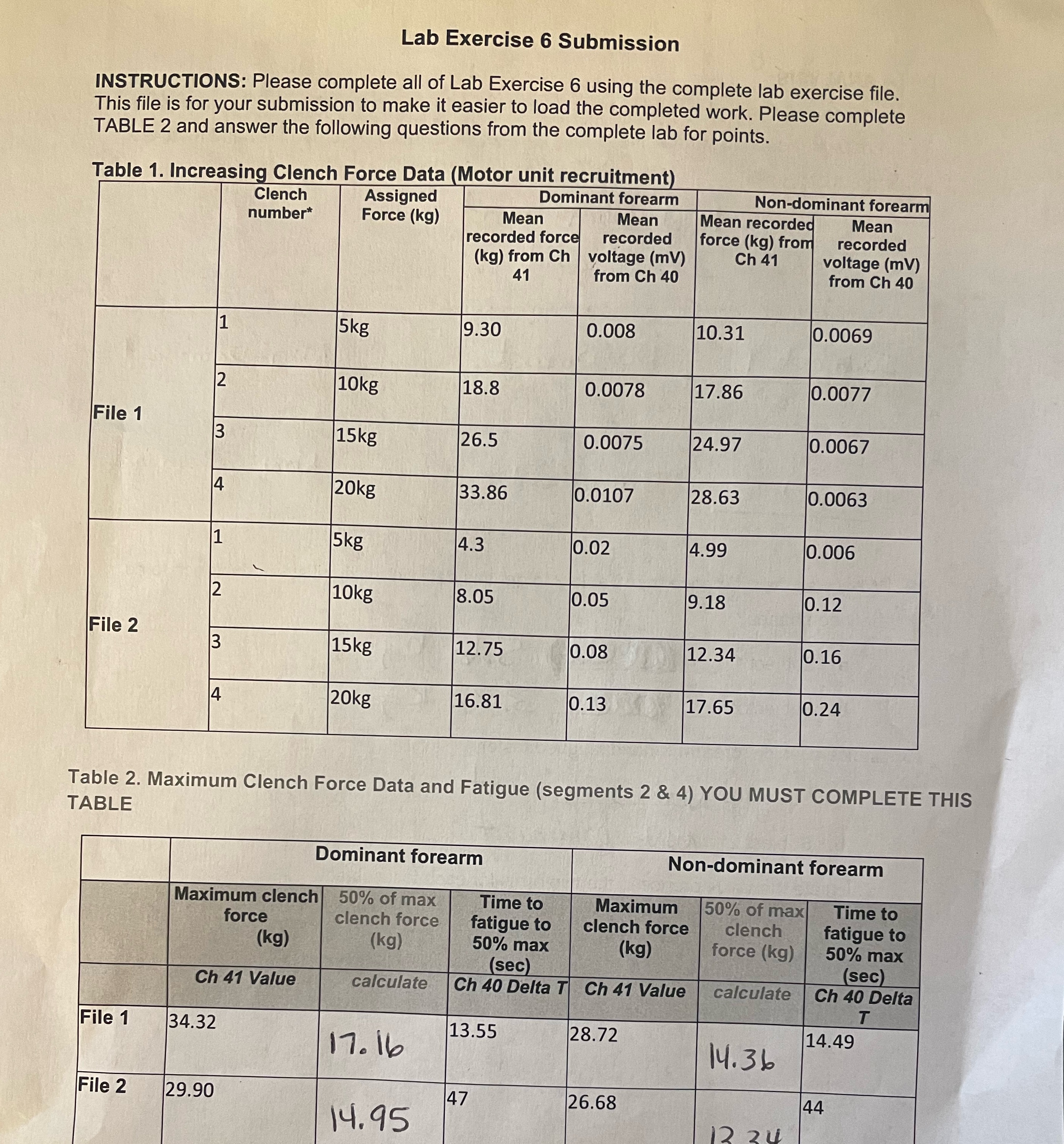 complete lab exercise file. This file is for your submission to make